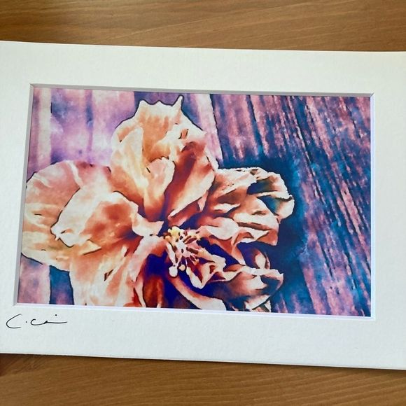 New Original Signed Photography Color Hibiscus - Picture 2 of 5